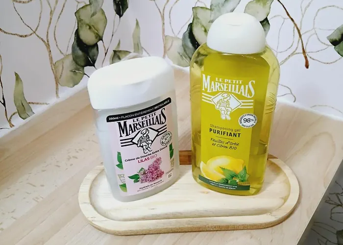 Gare - Parking Gratuit Διαμέρισμα *